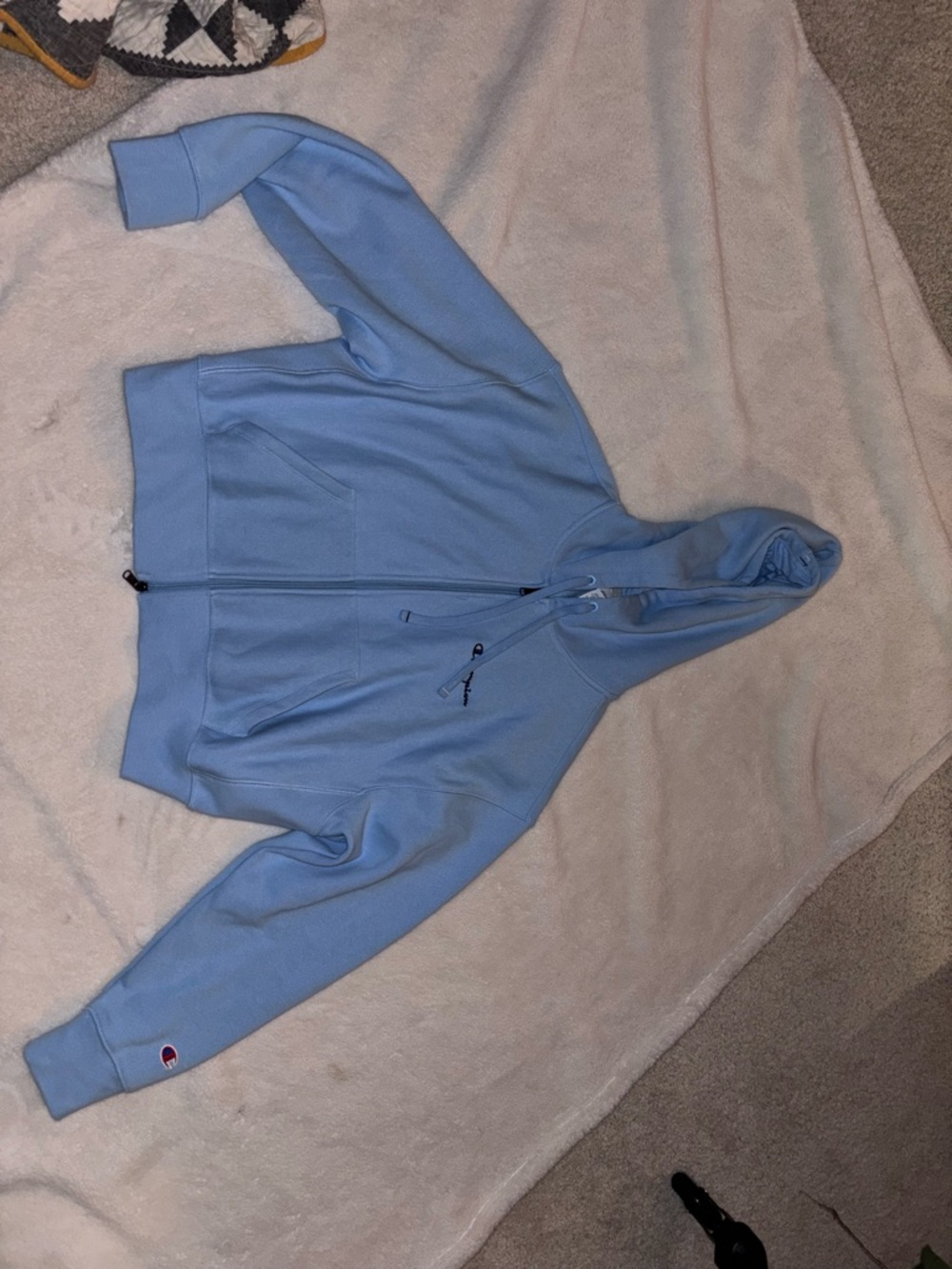 Champion Sky Blue Full-Zip Hooded Sweatshirt